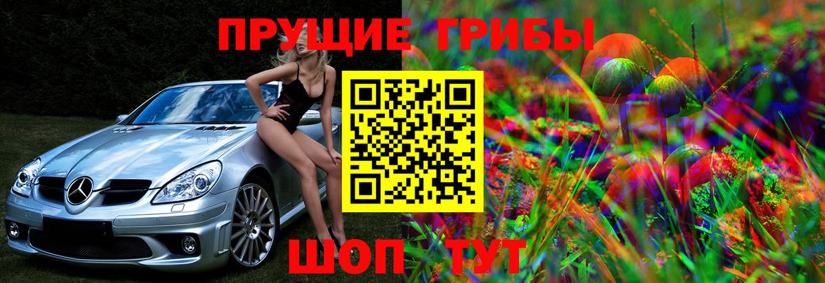 Норильск  купить наркотики сайты  Вход с VPN  Псилоцибиновые грибы мухоморы 